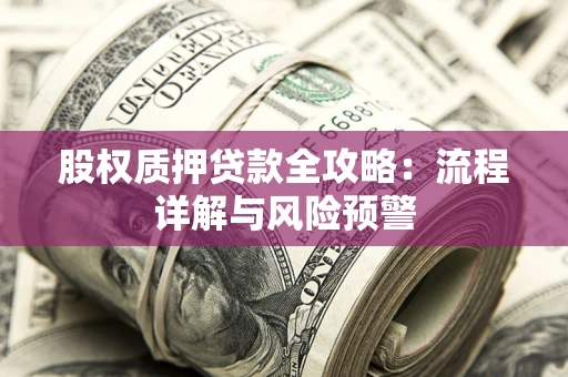 武汉股权质押贷款全攻略：流程详解与风险预警
