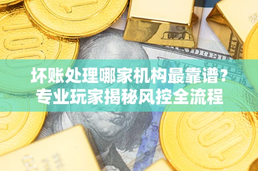 武汉坏账处理哪家机构最靠谱？专业玩家揭秘风控全流程