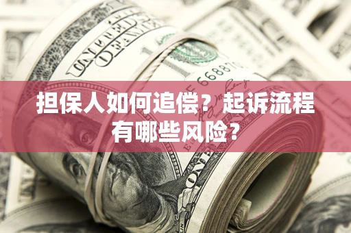 武汉担保人如何追偿？起诉流程有哪些风险？