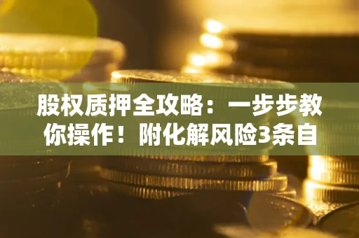 武汉股权质押全攻略：一步步教你操作！附化解风险3条自救法则