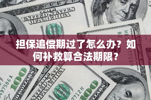 武汉担保追偿期过了怎么办？如何补救算合法期限？
