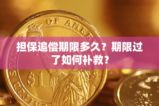 武汉担保追偿期限多久？期限过了如何补救？