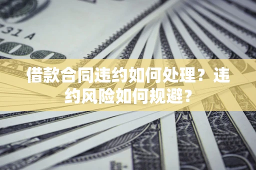 武汉借款合同违约如何处理？违约风险如何规避？