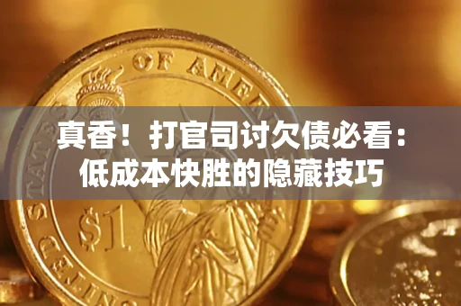 武汉真香！打官司讨欠债必看：低成本快胜的隐藏技巧