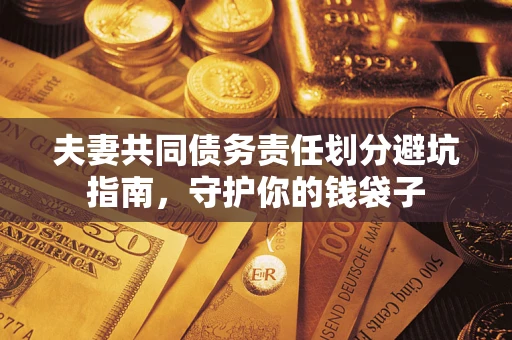 武汉夫妻共同债务责任划分避坑指南，守护你的钱袋子