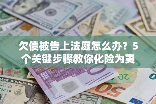 武汉欠债被告上法庭怎么办？5个关键步骤教你化险为夷