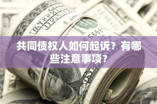 武汉共同债权人如何起诉？有哪些注意事项？